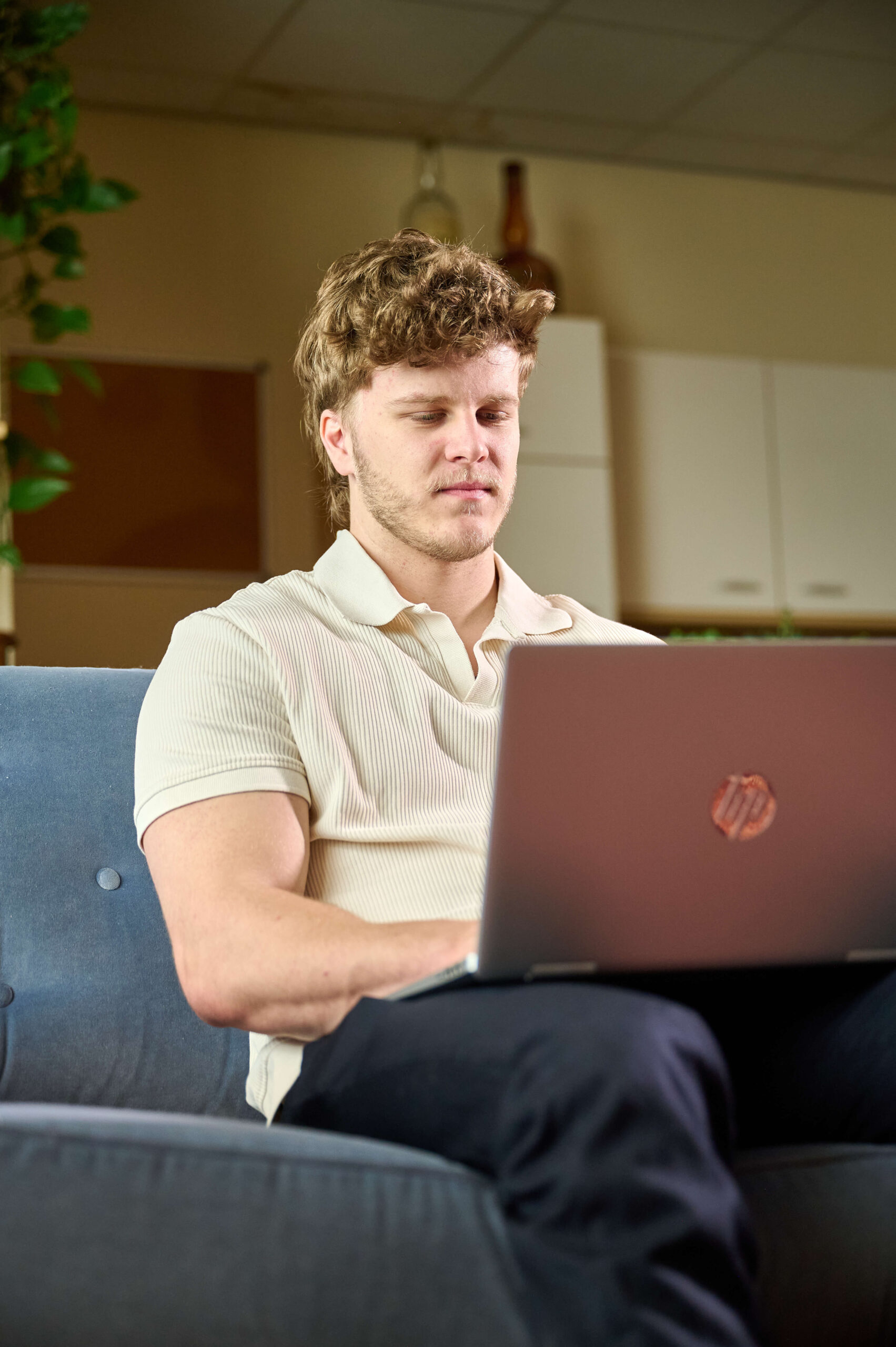 Sepp Stokbroekx, freelance webdesigner met expertise in WordPress beheer en updates